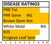 383 disease