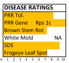 384 disease