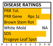 384 disease