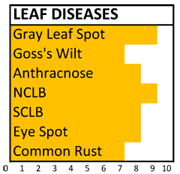 709 disease