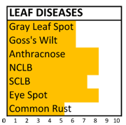 f003 disease