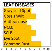 F082 disease