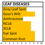 f111 disease