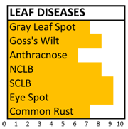 f112 disease