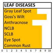 f121 disease