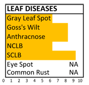 f133 disease