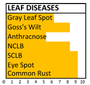 f141 disease