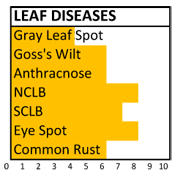 F143 disease