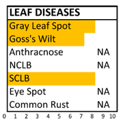 f163 disease