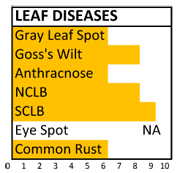 7172 disease