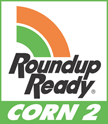 roundup ready corn2