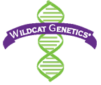 wildcatgenetics